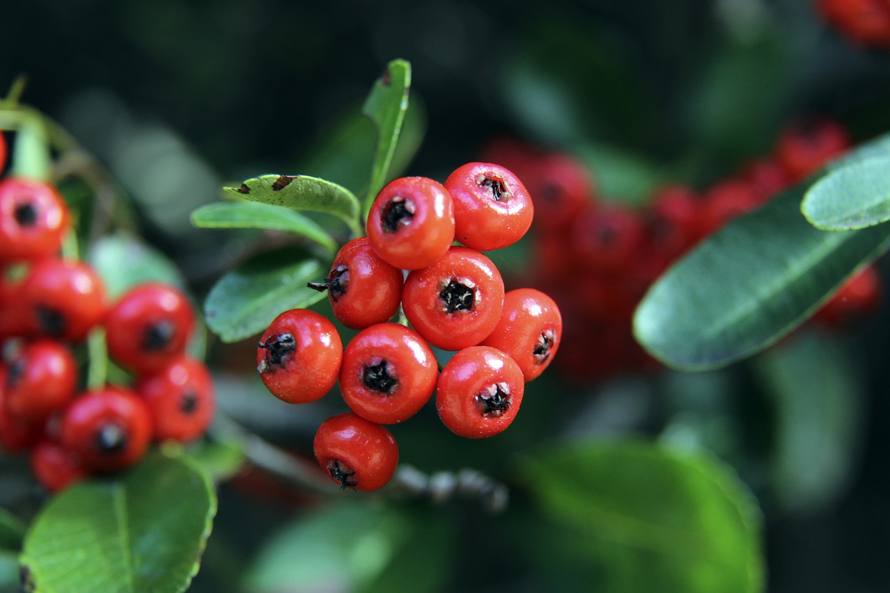 他在前锋线 他在前锋线