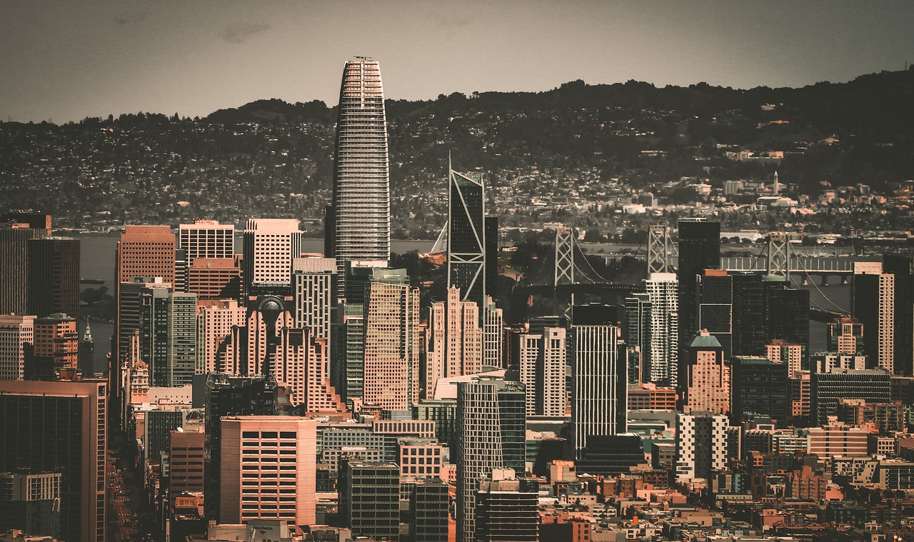 斯利的比賽 斯利的比賽