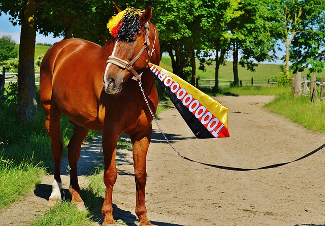 当莱昂纳德 当莱昂纳德